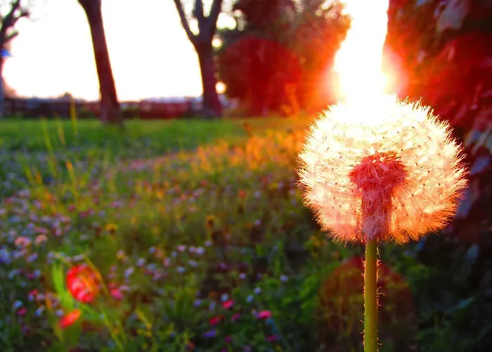 Residenza Torre Antica شقة