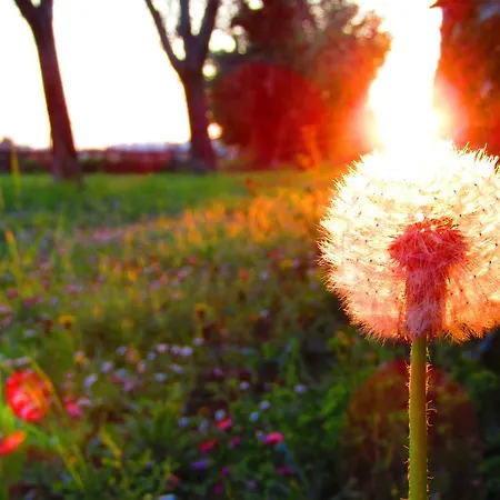 Residenza Torre Antica Daire